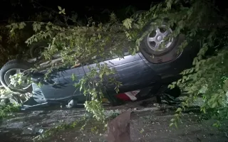 В Кривом Роге водитель автомобиля «ВАЗ», находившийся в состоянии алкогольного опьянения, врезался в дерево: дело передают в суд